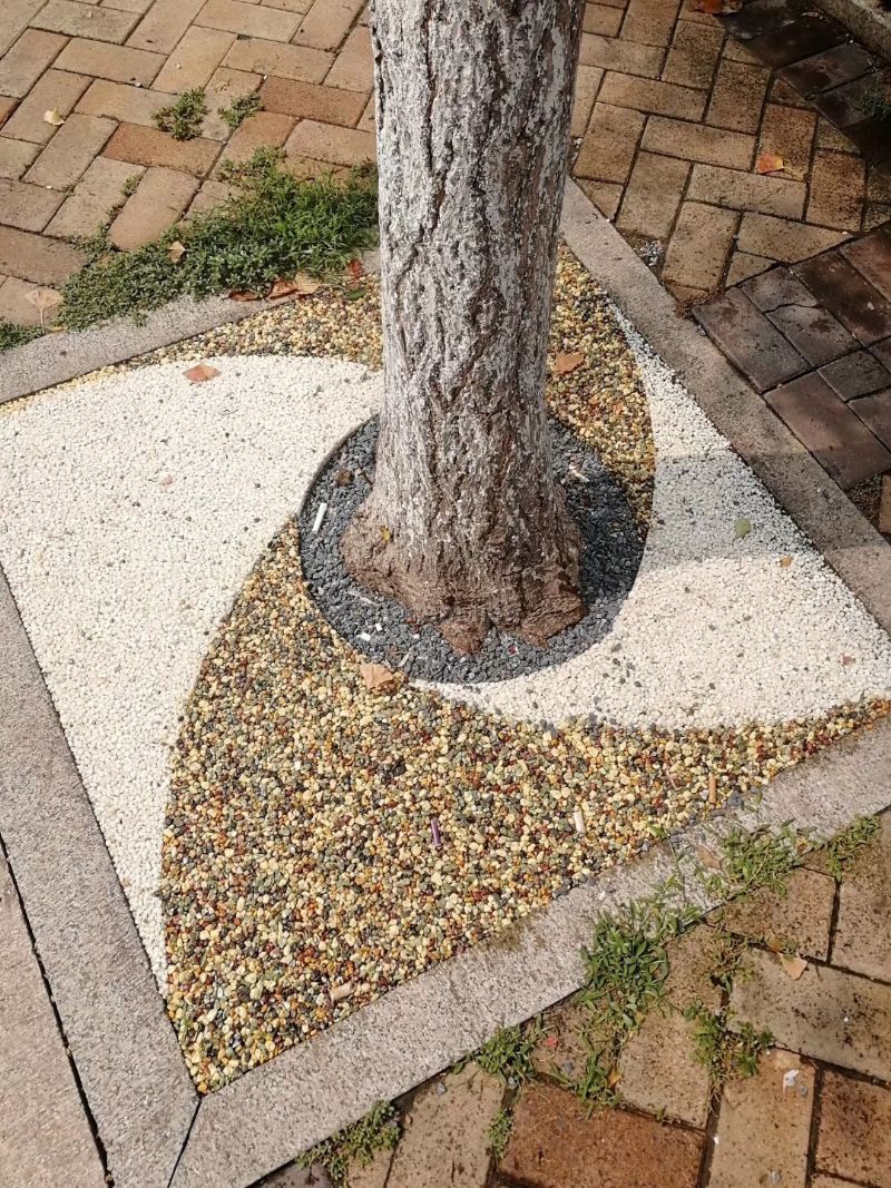 胶粘石透水地坪施工
